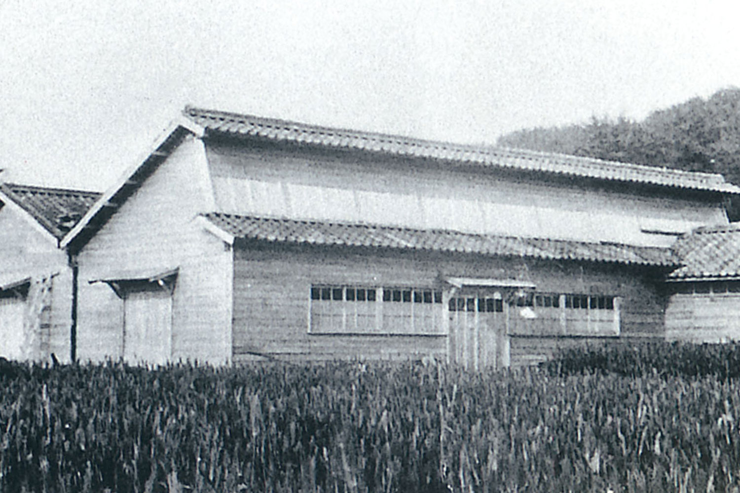 Exterior of plant when the company was founded